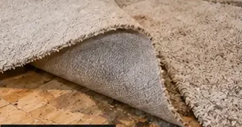 Lifting carpet to reach the wet pad and subfloor