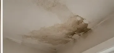 Ceiling water damage