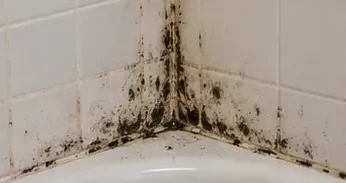 Visible mold growth on bathroom grout and caulk